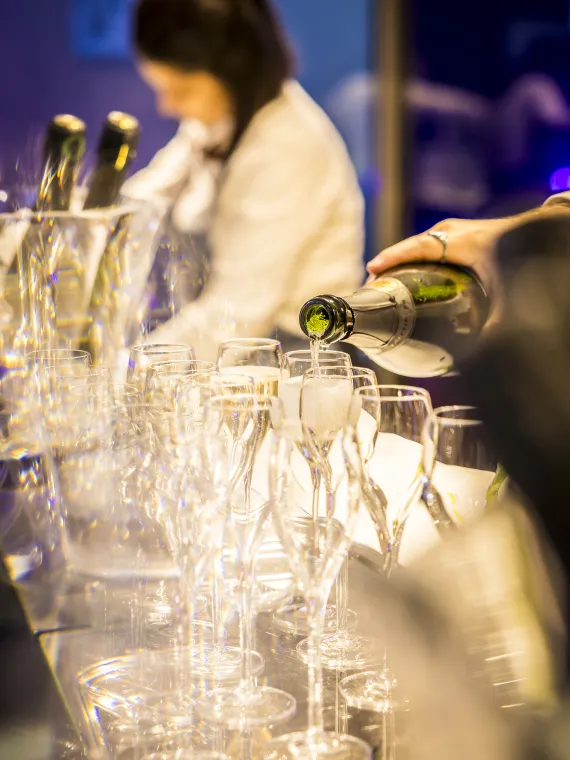 Service Champagne VIP Decathlon Arena Concert Imagine Dragons