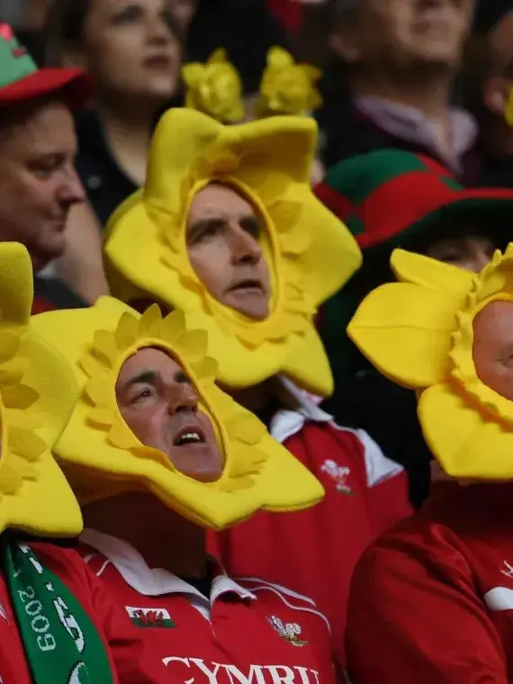 Supporters gallois déguisés avec des chapeaux en forme de jonquille, chantant et célébrant avant un match du Tournoi des 6 Nations