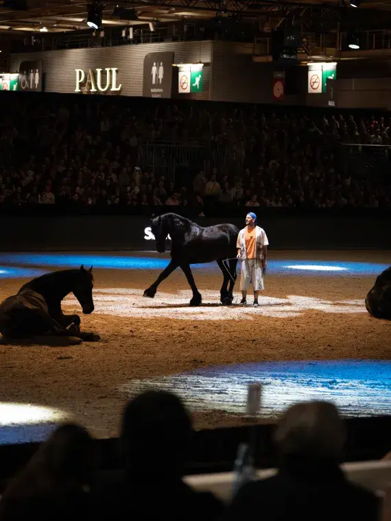Moment spectaculaire de dressage au Salon du Cheval de Paris, capté depuis les tribunes VIP dans une ambiance électrisante.