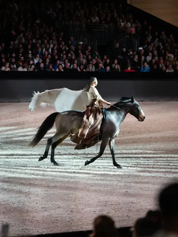 Épreuve immersive de concours complet au Salon du Cheval, mêlant dressage, cross et saut d’obstacles dans une ambiance nocturne spectaculaire
