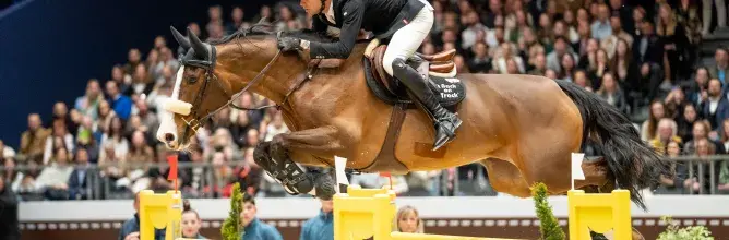 Vue immersive sur les animations du Salon du Cheval depuis le lounge VIP, ambiance élégante et exclusive