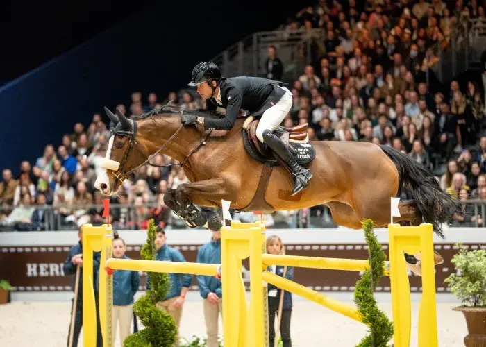 202203sauthermessamedwardlevyrebeca c jessicarodrigues.jpg Expérience privilégiée au plus près des compétitions équestres grâce aux sièges VIP du Salon du Cheval.