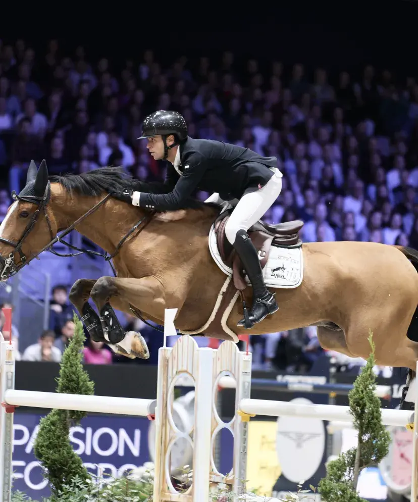 ue immersive sur les animations du Salon du Cheval depuis le lounge VIP, ambiance élégante et exclusive.
